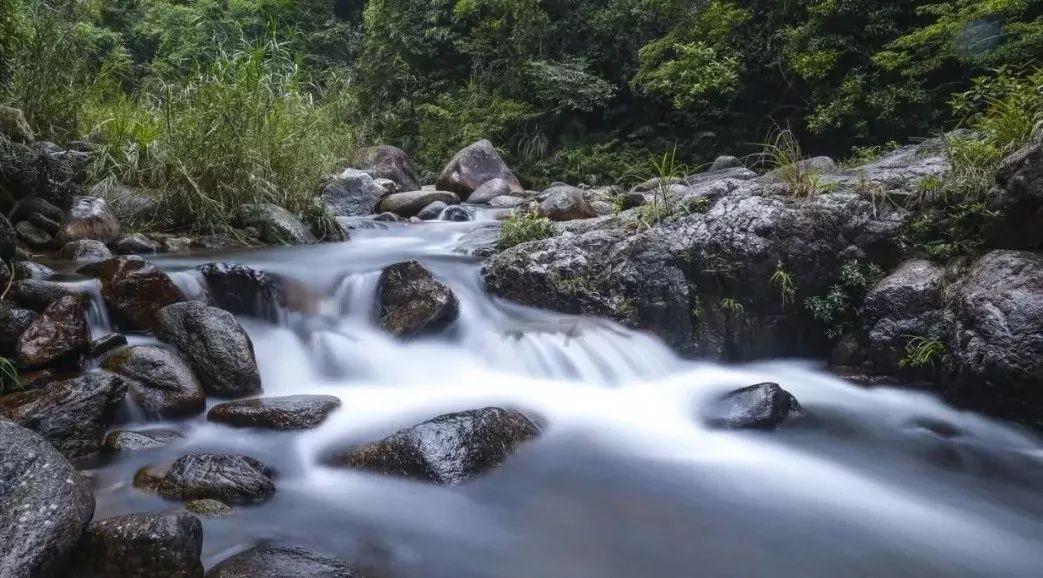 轩辕剑龙舞云山